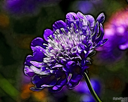 19252 (a): :1280x1024